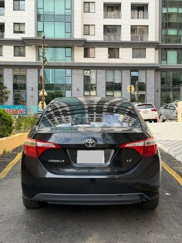 Toyota Corolla-6
