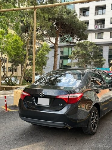 Toyota Corolla-8