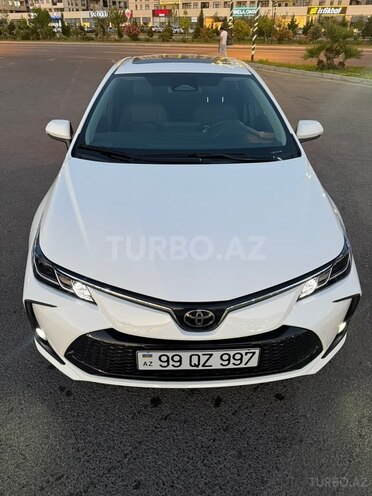 Toyota Corolla-6