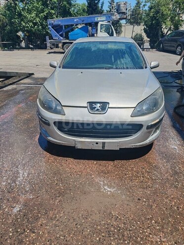 Peugeot 407-1