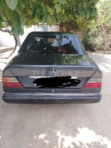 Mercedes 250 D-2