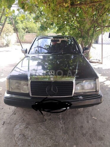 Mercedes 250 D-1