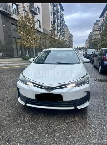 Toyota Corolla-6