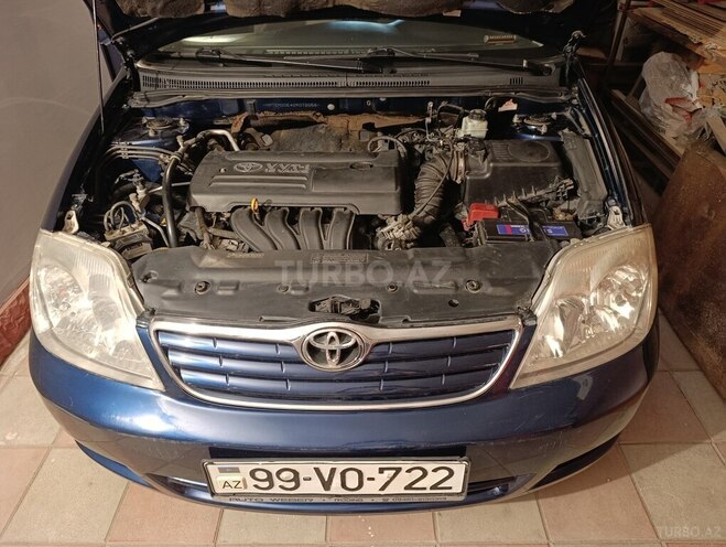 Toyota Corolla-14