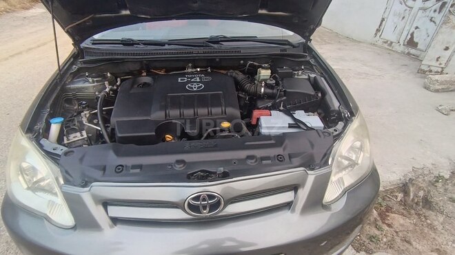 Toyota Corolla-6