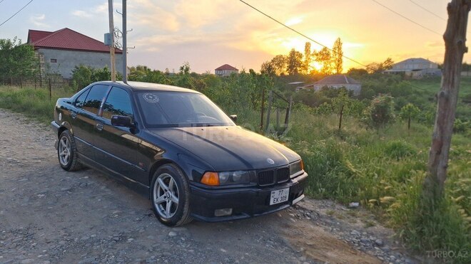 BMW 318-6