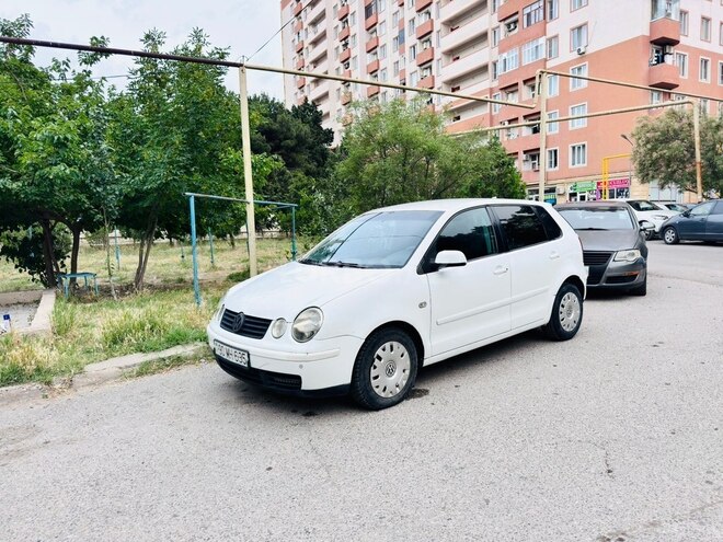 Volkswagen Polo-1