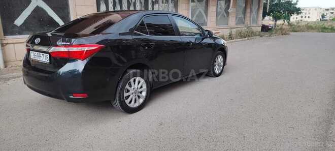 Toyota Corolla-4