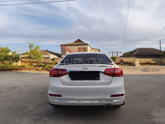 GWM (Great Wall Motor) Voleex C30-17