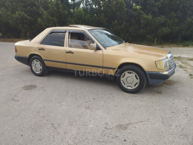 Mercedes 260 E-8