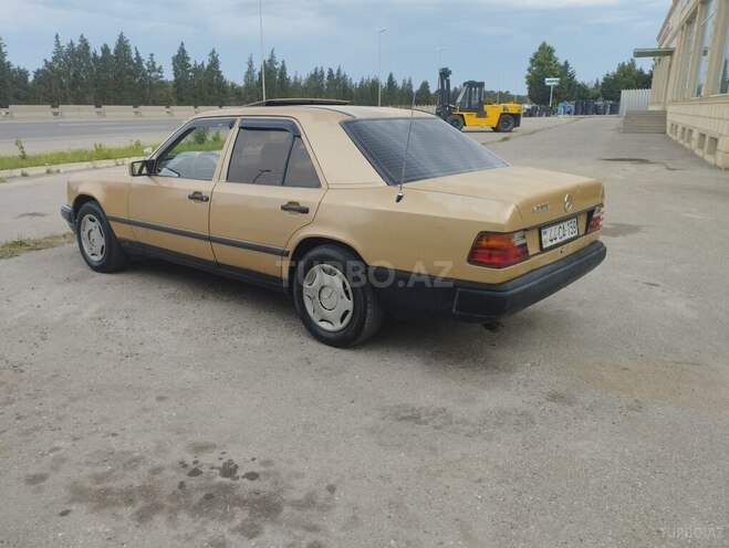 Mercedes 260 E-12