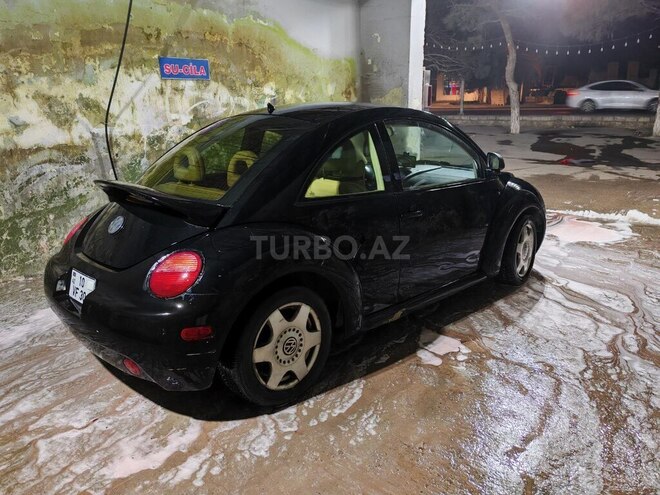 Volkswagen Beetle-5
