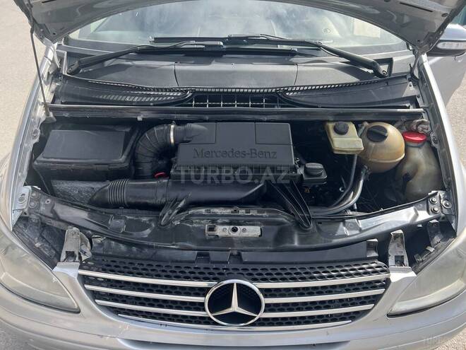 Mercedes Viano-7