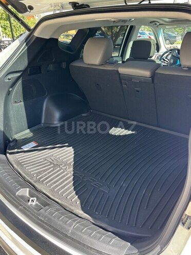Hyundai Santa Fe-21