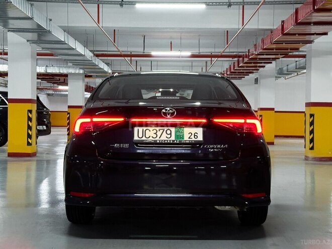 Toyota Corolla-6