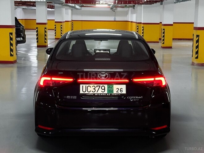 Toyota Corolla-7