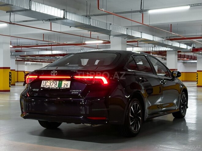 Toyota Corolla-8