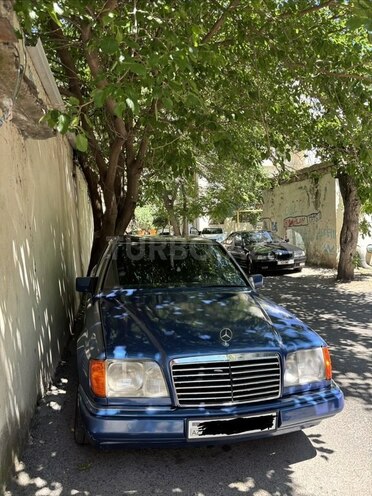 Mercedes 250 D-12