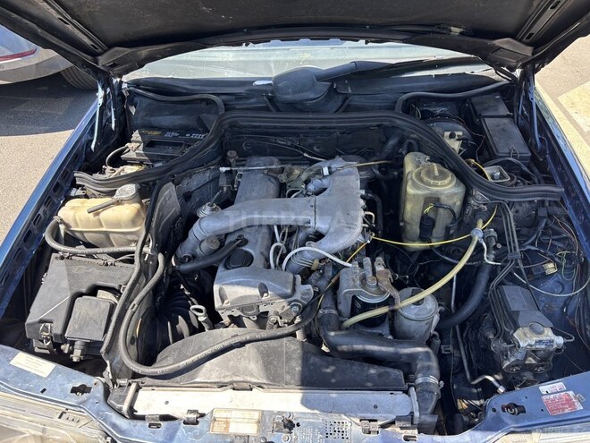 Mercedes 250 D-9