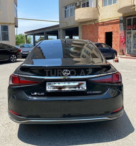 Lexus ES 300h-3