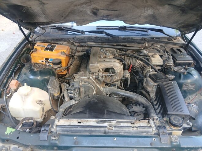 BMW 318-5