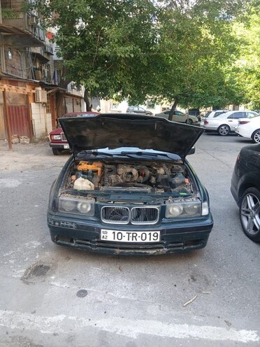 BMW 318-4