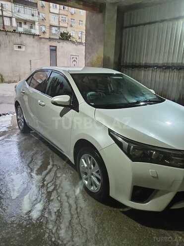Toyota Corolla-6