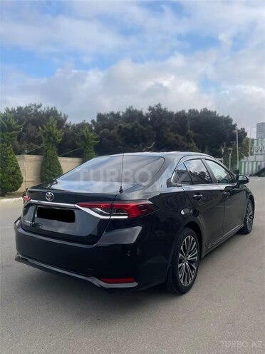 Toyota Corolla-6