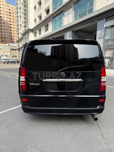 Mercedes Viano-9