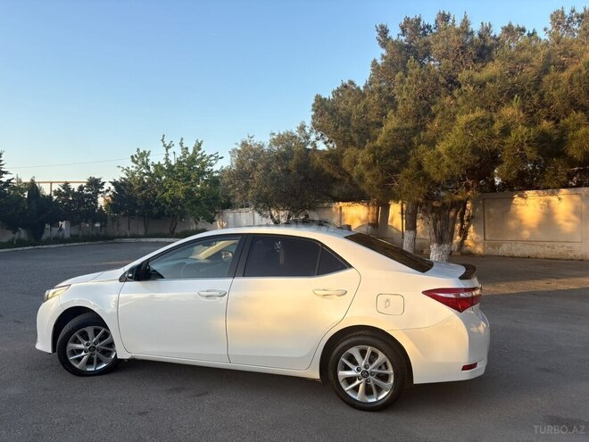 Toyota Corolla-4