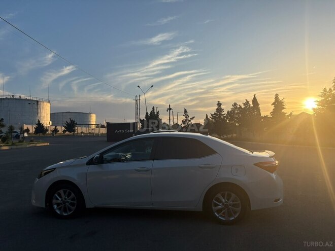 Toyota Corolla-8