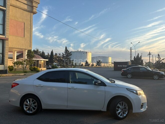 Toyota Corolla-9