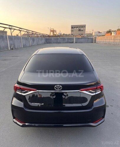 Toyota Corolla-4