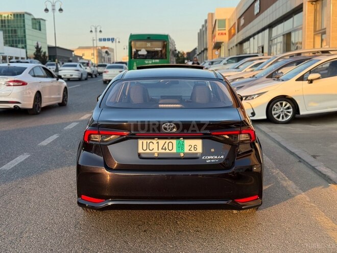 Toyota Corolla-6