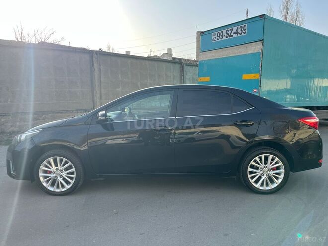 Toyota Corolla-6