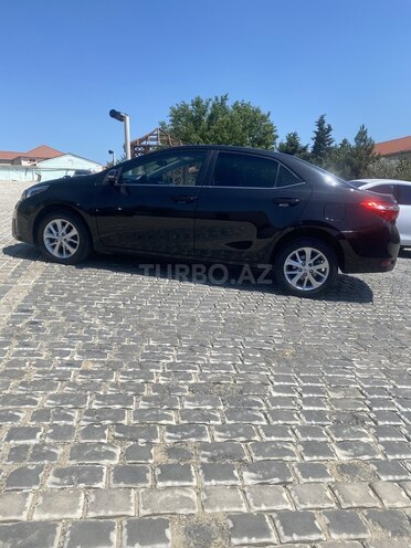 Toyota Corolla-12