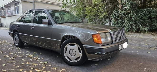 Mercedes 250 D-3