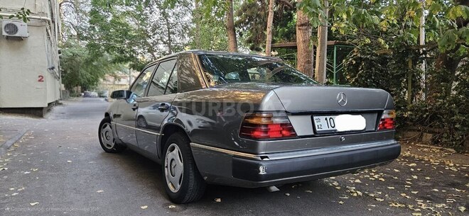 Mercedes 250 D-6