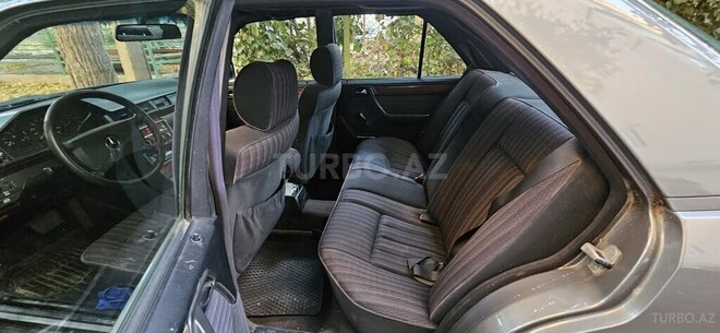 Mercedes 250 D-10