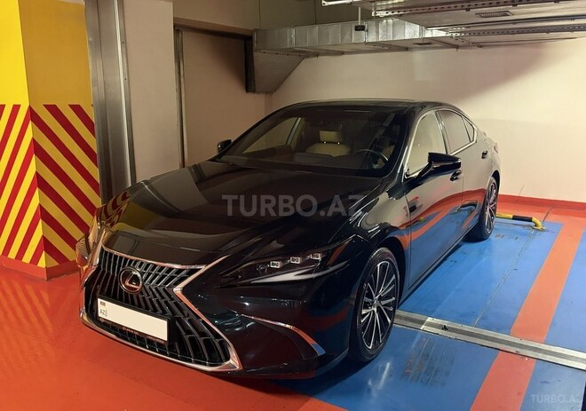 Lexus ES 300h-10