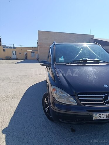 Mercedes Viano-2