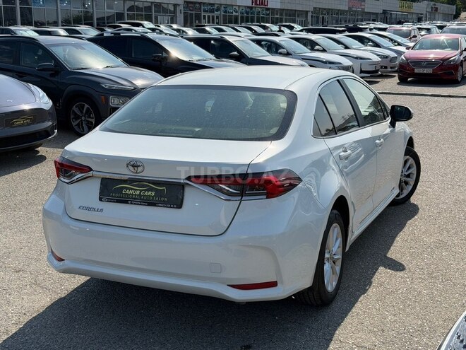 Toyota Corolla-6