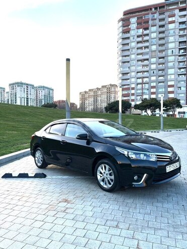 Toyota Corolla-15