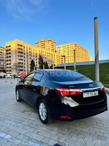 Toyota Corolla-6
