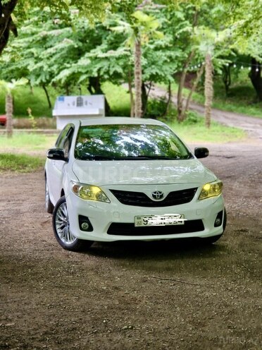 Toyota Corolla-15