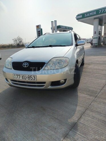 Toyota Corolla-6