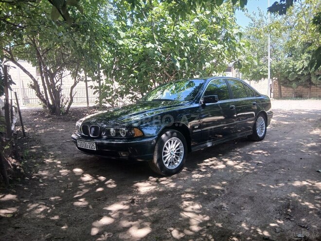 BMW 523-8