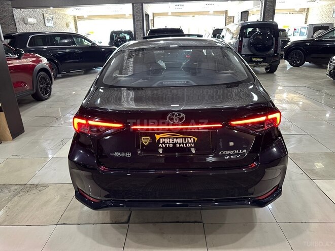 Toyota Corolla-4