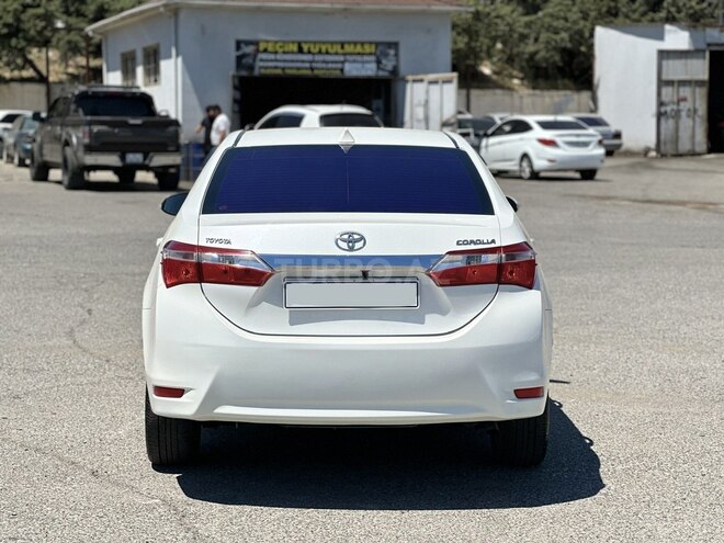 Toyota Corolla-6