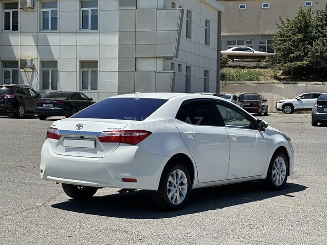 Toyota Corolla-7